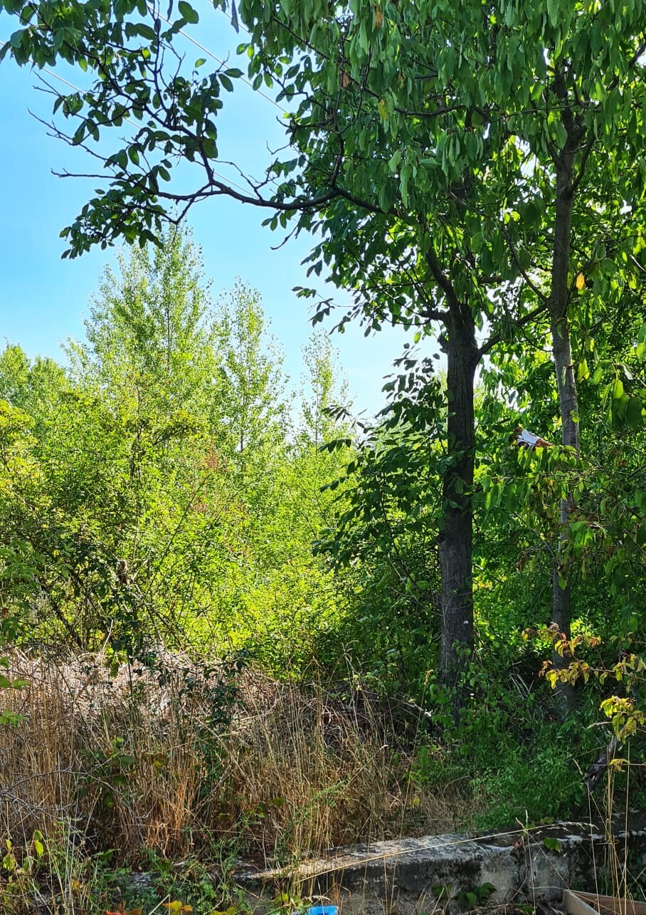 Komerční pozemky 539/55 a 539/54, Přízřenice, okres Brno-město